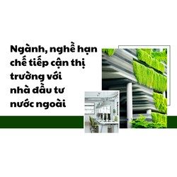 Ngành, nghề hạn chế tiếp cận thị trường với nhà đầu tư nước ngoài