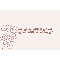 Xét nghiệm ADN là gì? Xét nghiệm ADN cần những gì