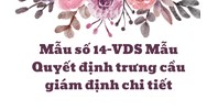 Mẫu Quyết định trưng cầu giám định chi tiết (Mẫu số 14-VDS)