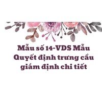 Mẫu Quyết định trưng cầu giám định chi tiết (Mẫu số 14-VDS)