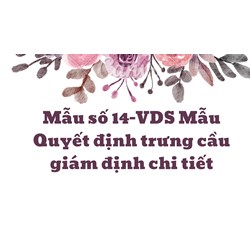 Mẫu Quyết định trưng cầu giám định chi tiết (Mẫu số 14-VDS)
