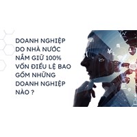 Doanh nghiệp do Nhà nước nắm giữ 100% vốn điều lệ bao gồm những doanh nghiệp nào?
