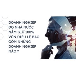 Doanh nghiệp do Nhà nước nắm giữ 100% vốn điều lệ bao gồm những doanh nghiệp nào?