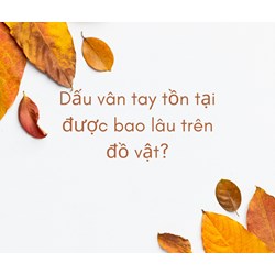 Dấu vân tay tồn tại được bao lâu trên đồ vật?