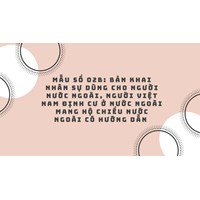 Mẫu số 02b: Bản khai nhân sự dùng cho người nước ngoài, người Việt Nam định cư ở nước ngoài mang hộ chiếu nước ngoài có hướng dẫn