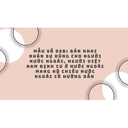 Mẫu số 02b: Bản khai nhân sự dùng cho người nước ngoài, người Việt Nam định cư ở nước ngoài mang hộ chiếu nước ngoài có hướng dẫn