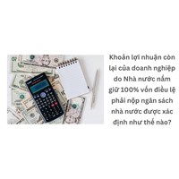 Khoản lợi nhuận còn lại của doanh nghiệp do Nhà nước nắm giữ 100% vốn điều lệ phải nộp ngân sách nhà nước được xác định như thế nào?