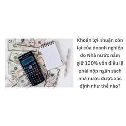 Khoản lợi nhuận còn lại của doanh nghiệp do Nhà nước nắm giữ 100% vốn điều lệ phải nộp ngân sách nhà nước được xác định như thế nào?