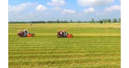 Ai có thẩm quyền giao đất không thu tiền sử dụng đất đối với hộ gia đình, cá nhân?