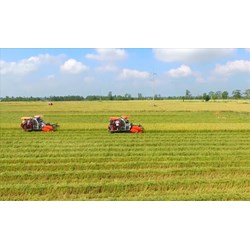 Ai có thẩm quyền giao đất không thu tiền sử dụng đất đối với hộ gia đình, cá nhân?