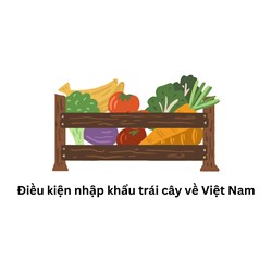 Điều kiện nhập khẩu trái cây về Việt Nam