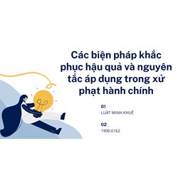 Các biện pháp khắc phục hậu quả và nguyên tắc áp dụng trong xử phạt hành chính