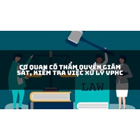 Cơ quan có thẩm quyền giám sát, kiểm tra việc xử lý VPHC