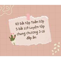 Vở bài tập Toán lớp 5 bài 119 Luyện tập chung chương 3 có đáp án