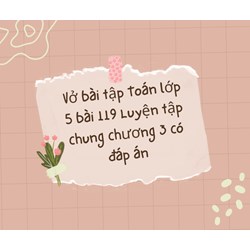 Vở bài tập Toán lớp 5 bài 119 Luyện tập chung chương 3 có đáp án
