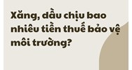 Xăng, dầu chịu bao nhiêu tiền thuế bảo vệ môi trường?