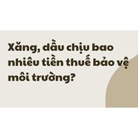 Xăng, dầu chịu bao nhiêu tiền thuế bảo vệ môi trường?