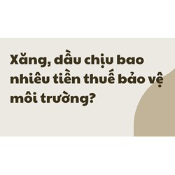 Xăng, dầu chịu bao nhiêu tiền thuế bảo vệ môi trường?