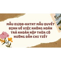 Mẫu 01/QĐ-KHTNT Mẫu Quyết định về việc không hoàn trả khoản nộp thừa có hướng dẫn chi tiết