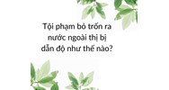 Tội phạm bỏ trốn ra nước ngoài thị bị dẫn độ như thế nào?