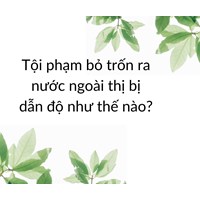 Tội phạm bỏ trốn ra nước ngoài thị bị dẫn độ như thế nào?