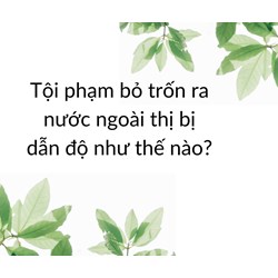 Tội phạm bỏ trốn ra nước ngoài thị bị dẫn độ như thế nào?