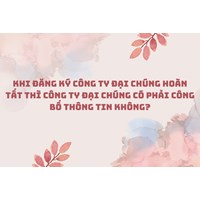 Khi đăng ký công ty đại chúng hoàn tất thì công ty đại chúng có phải công bố thông tin không?