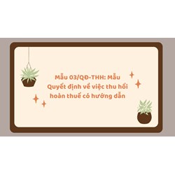 Mẫu 03/QĐ-THH: Mẫu Quyết định về việc thu hồi hoàn thuế có hướng dẫn