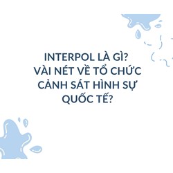 Interpol là gì? Vài nét về tổ chức Cảnh sát Hình sự Quốc tế?