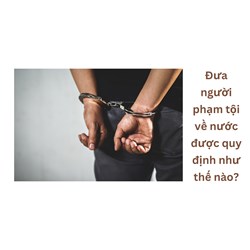 Đưa người phạm tội về nước được quy định như thế nào?