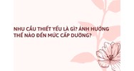 Nhu cầu thiết yếu là gì? Ảnh hưởng thế nào đến mức cấp dưỡng?