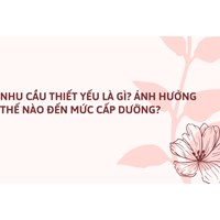 Nhu cầu thiết yếu là gì? Ảnh hưởng thế nào đến mức cấp dưỡng?