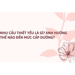 Nhu cầu thiết yếu là gì? Ảnh hưởng thế nào đến mức cấp dưỡng?