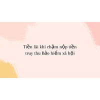 Hướng dẫn cách tính tiền lãi khi chậm nộp tiền truy thu bảo hiểm xã hội?