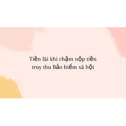 Hướng dẫn cách tính tiền lãi khi chậm nộp tiền truy thu bảo hiểm xã hội?