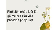 Phổ biến pháp luật là gì? Vai trò của việc phổ biến pháp luật