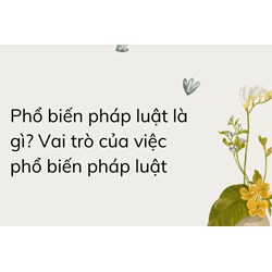 Phổ biến pháp luật là gì? Vai trò của việc phổ biến pháp luật