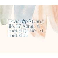 Toán lớp 5 trang 116, 117: Xăng - ti - mét khối. Đề - xi - mét khối