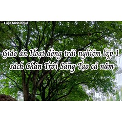 Giáo án Hoạt động trải nghiệm lớp 1 sách Chân Trời Sáng Tạo cả năm