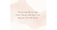 Tổng hợp đề ôn tập môn Tiếng Việt lớp 4 có đáp án chi tiết