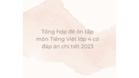 Tổng hợp đề ôn tập môn Tiếng Việt lớp 4 có đáp án chi tiết