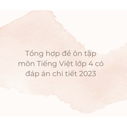Tổng hợp đề ôn tập môn Tiếng Việt lớp 4 có đáp án chi tiết