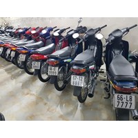 Những điểm mới về biển số định danh theo quy định?