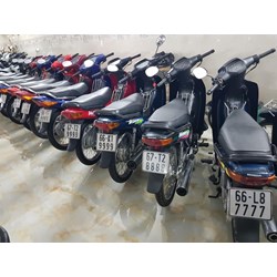 Những điểm mới về biển số định danh theo quy định?