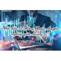 Nhà đầu tư chứng khoán chuyên nghiệp bao gồm những ai?