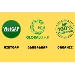 Nhãn hiệu chứng nhận là gì? Ví dụ về nhãn hiệu chứng nhận