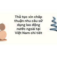 Thủ tục xin chấp thuận nhu cầu sử dụng lao động nước ngoài tại Việt Nam chi tiết