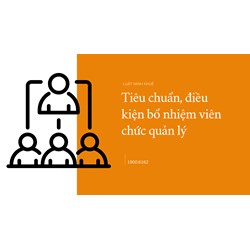 Tiêu chuẩn, điều kiện bổ nhiệm viên chức quản lý