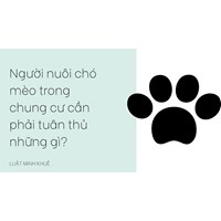Người nuôi chó mèo trong chung cư cần phải tuân thủ những gì?