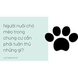 Người nuôi chó mèo trong chung cư cần phải tuân thủ những gì?